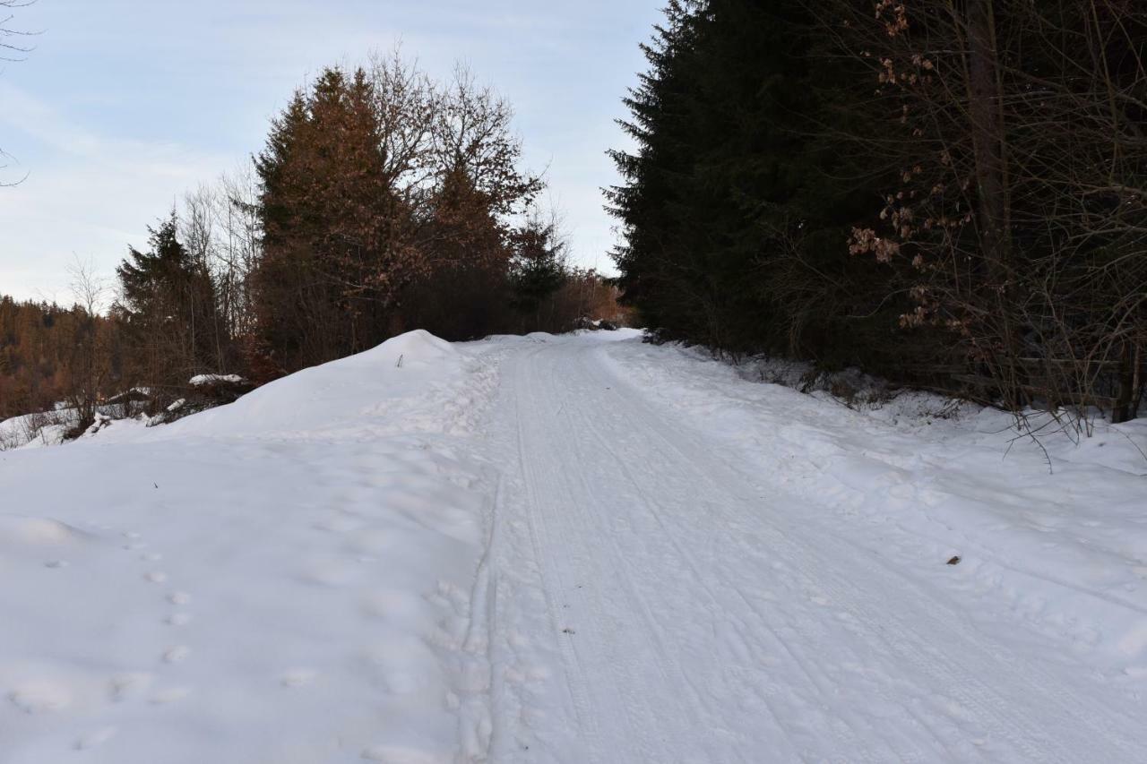 Homorod Kulcsoshaz Villa Băile Homorod Dış mekan fotoğraf